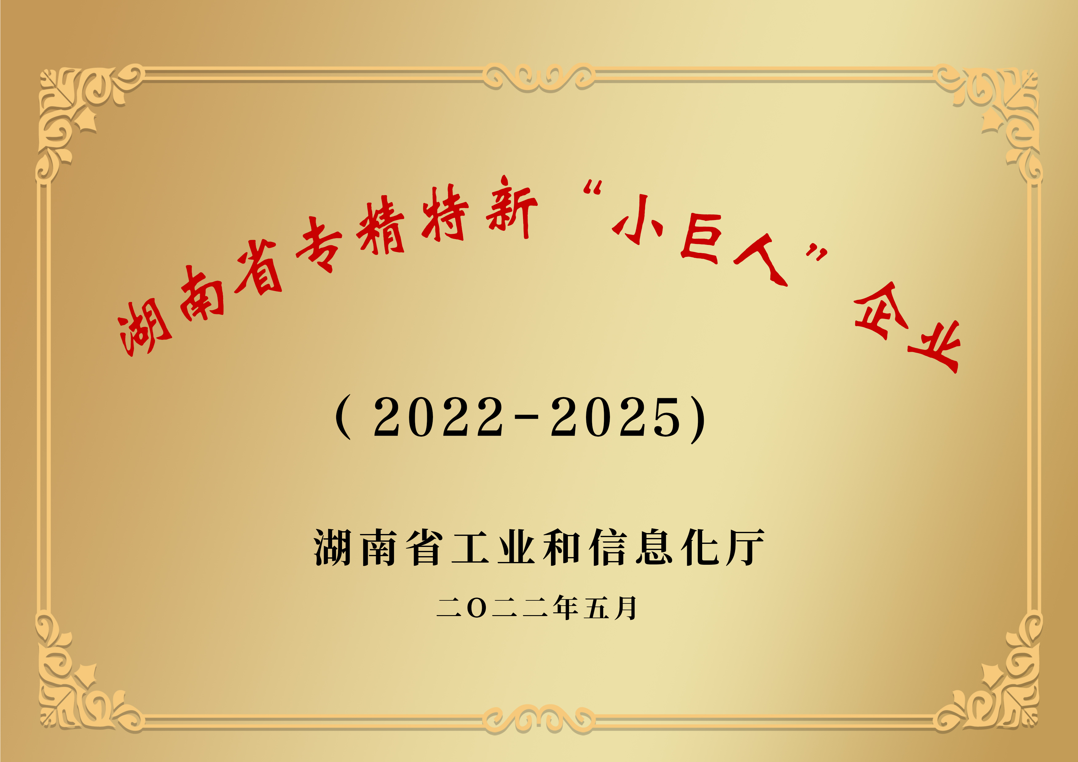 湖南省专精特新“小巨人”企业
