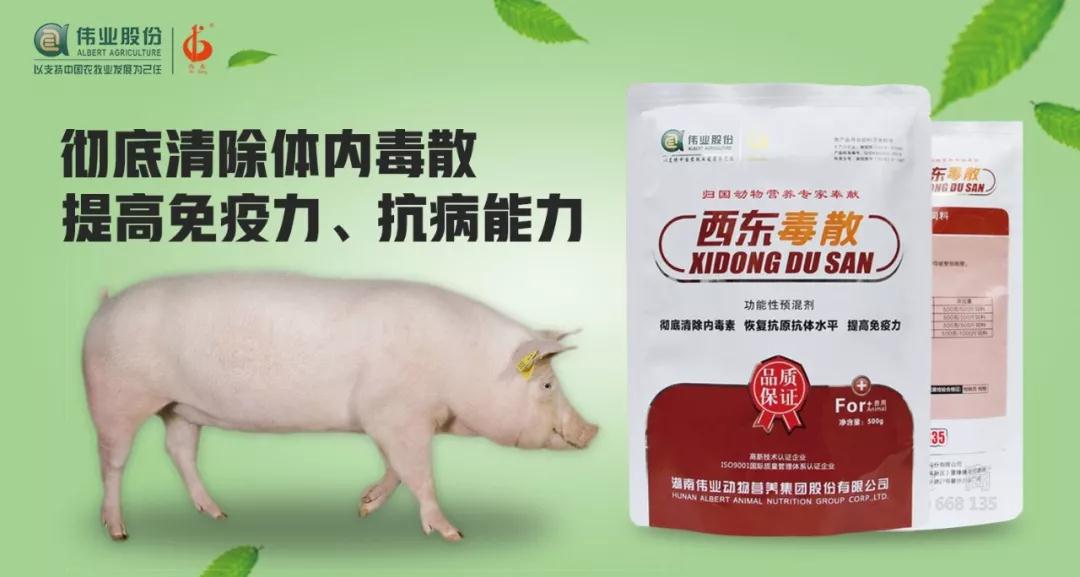 湖南伟业集团,伟业动物,猪场管理,非常规饲料原料开发,饲料