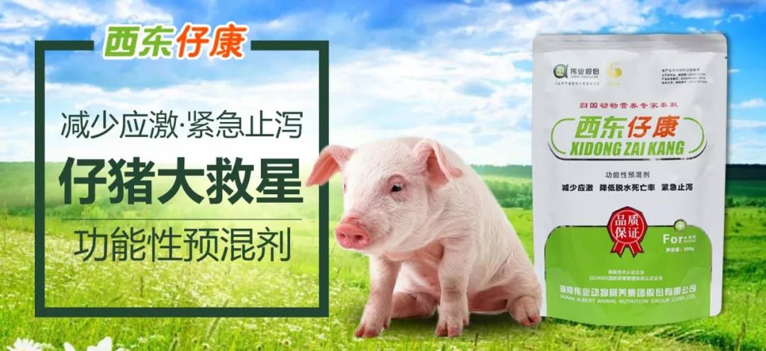 湖南伟业集团,伟业动物,猪场管理,非常规饲料原料开发,饲料
