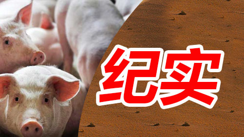 湖南伟业集团,伟业动物,猪场管理,非常规饲料原料开发,饲料